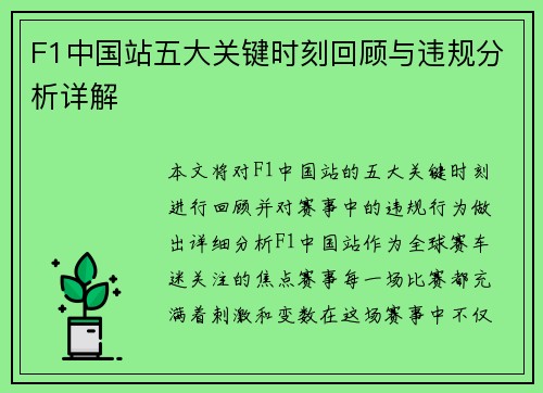 F1中国站五大关键时刻回顾与违规分析详解