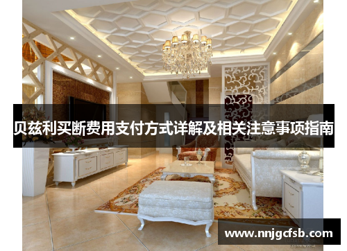 贝兹利买断费用支付方式详解及相关注意事项指南