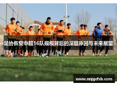 足协恢复中超16队规模背后的深层原因与未来展望