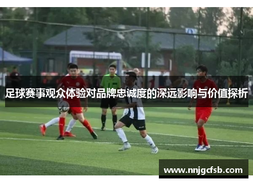 足球赛事观众体验对品牌忠诚度的深远影响与价值探析
